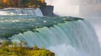 Experience the Majestic Niagara Falls