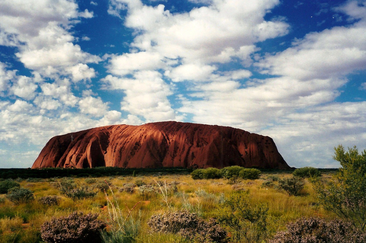 Experience the Majestic Beauty of Uluru