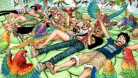 Explore the One Piece Wallpaper of the Straw Hat Pirates