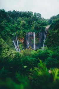 Explora la Serenidad de la Naturaleza con Este Impresionante Fondo de Cascada