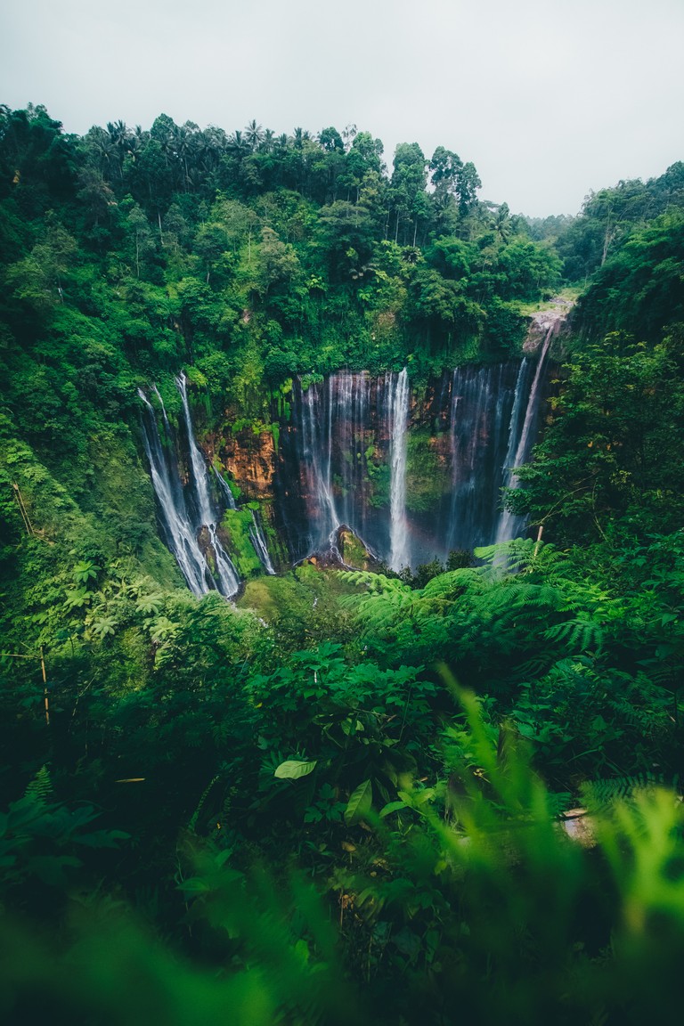 Explore the Serenity of Nature with This Stunning Waterfall Wallpaper