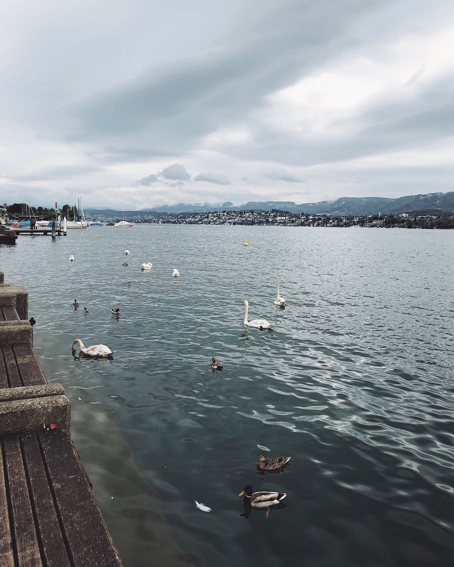 Serene Lake View Featuring Birds and Cloudy Skies