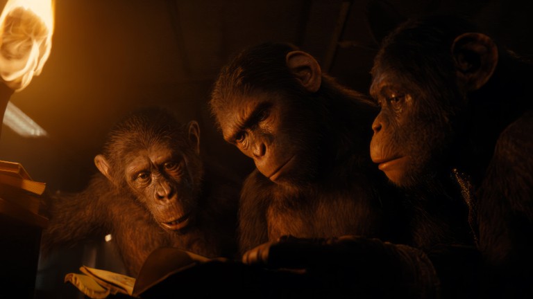 Stunning Kingdom of the Planet of the Apes Wallpaper