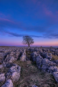 Descargar Impresionante Fondo de Pantalla del Cielo Lavanda