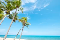 Stunning Tropical Beach Landscape Wallpaper