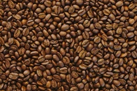 Explora Nuestra Colección de Fondos de Café