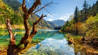 Vue imprenable du lac Jiuzhaigou