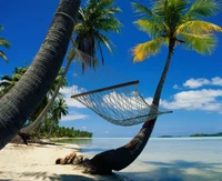 Fond d'Écran Relaxant de Hamac sur la Plage Tropicale