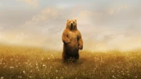 Descarga Nuestro Majestuoso Fondo de Grizzly Bear