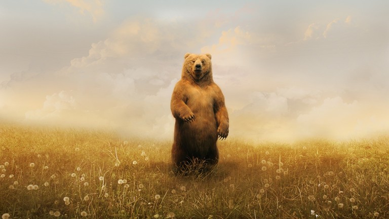 Download Our Majestic Grizzly Bear Wallpaper