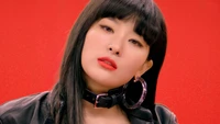 Seulgi de Red Velvet - Descarga de Fondo de Pantalla Zimzalabim