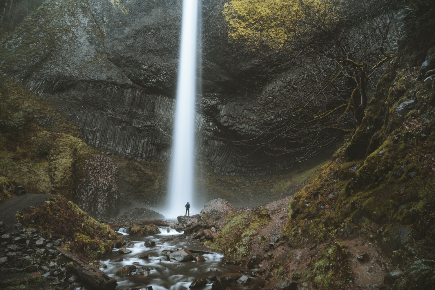 Explore the Breathtaking Beauty of Oregon's Waterfalls