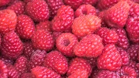 Stunning Raspberry Wallpaper for Fruit Lovers