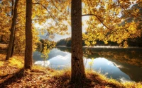 Hermoso Fondo de Pantalla de Reflexión de Colores de Hojas de Otoño