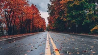 Superbe Fond d'Écran de Paysage d'Automne pour Votre Appareil