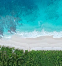 Téléchargez un magnifique fond d'écran de vagues et de rivage pour votre appareil Huawei