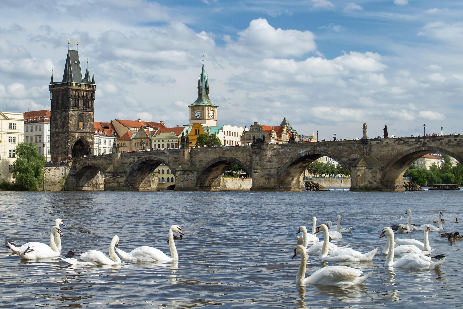 Explore the Beautiful Charles Bridge with Graceful Swans