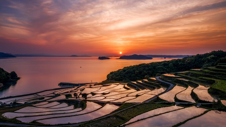 Breathtaking Sunset Over Terraced Rice Fields in Japan