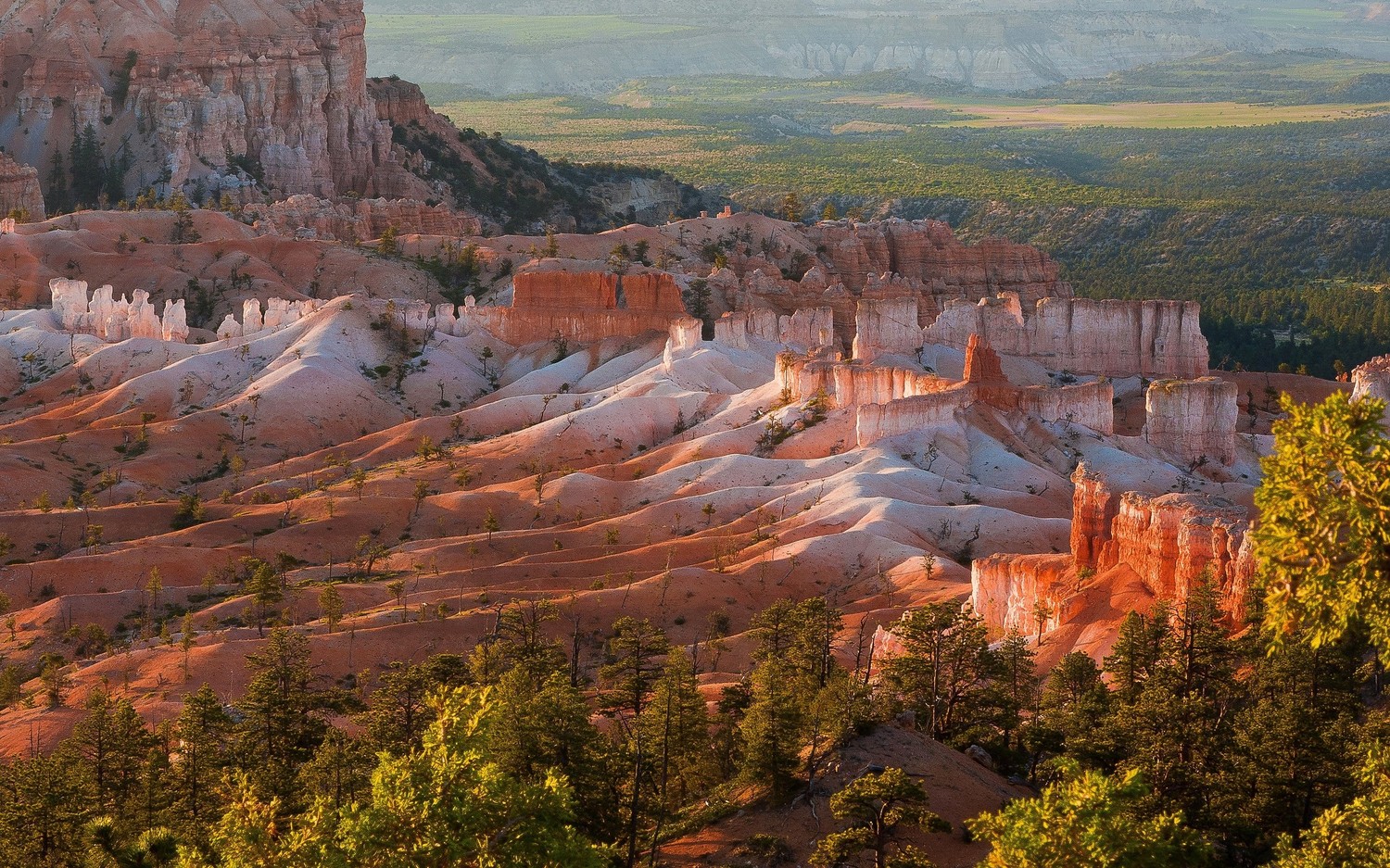 Explore the Beauty of Bryce Canyon National Park