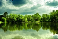 Espectacular reflejo de árboles en el agua del lago