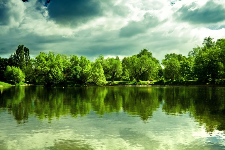 Breathtaking Reflection of Trees on Lake Water