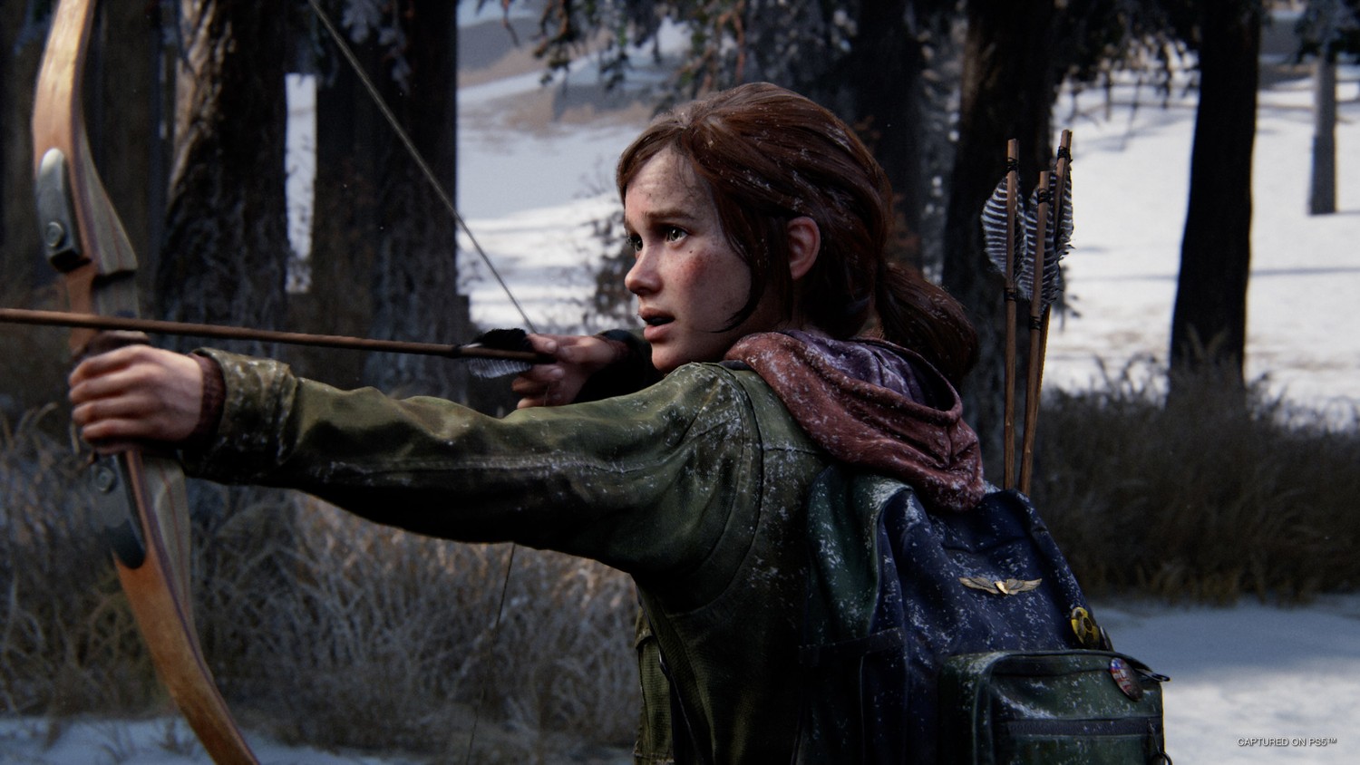 Explore the Epic 4K Wallpaper featuring Ellie Williams from The Last of Us Part 1