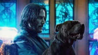 Fondo de pantalla de John Wick 3: Keanu Reeves con su perro leal