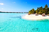 Bora Bora Beach Wallpaper - Perfect for Your Device