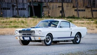 Descarga el Iconico Fondo de Pantalla Ford Shelby Mustang