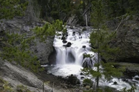 Découvrez notre Magnifique Fond d'Écran de Cascades