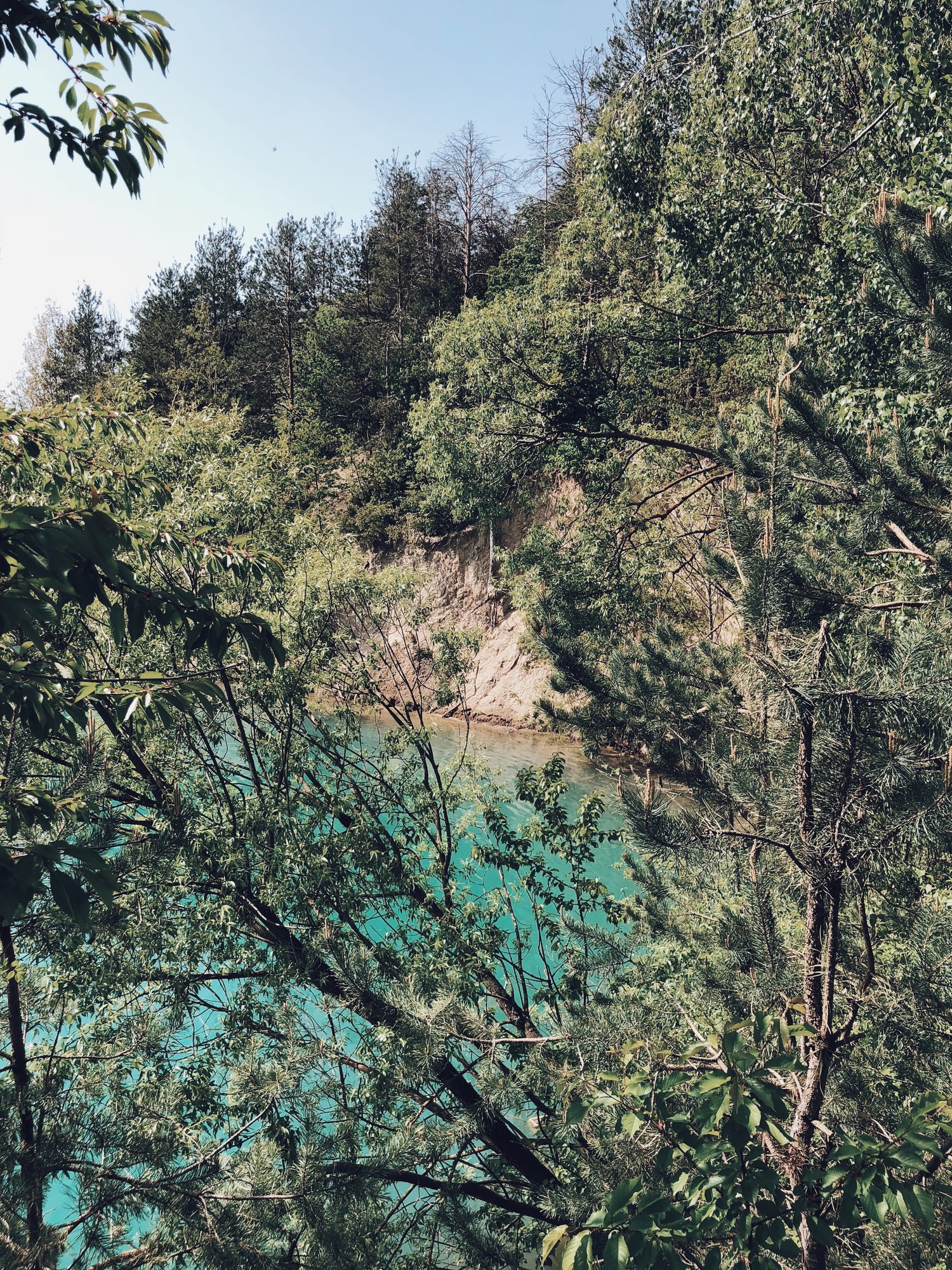 Descubre la Belleza de la Naturaleza con Nuestro Impresionante Fondo de Pantalla