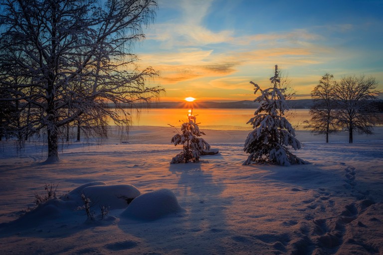 Breathtaking Winter Sunrise Over Snowy Landscape