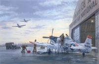 Explore Our WWII Aircraft Wallpaper Featuring the P-51 Mustang