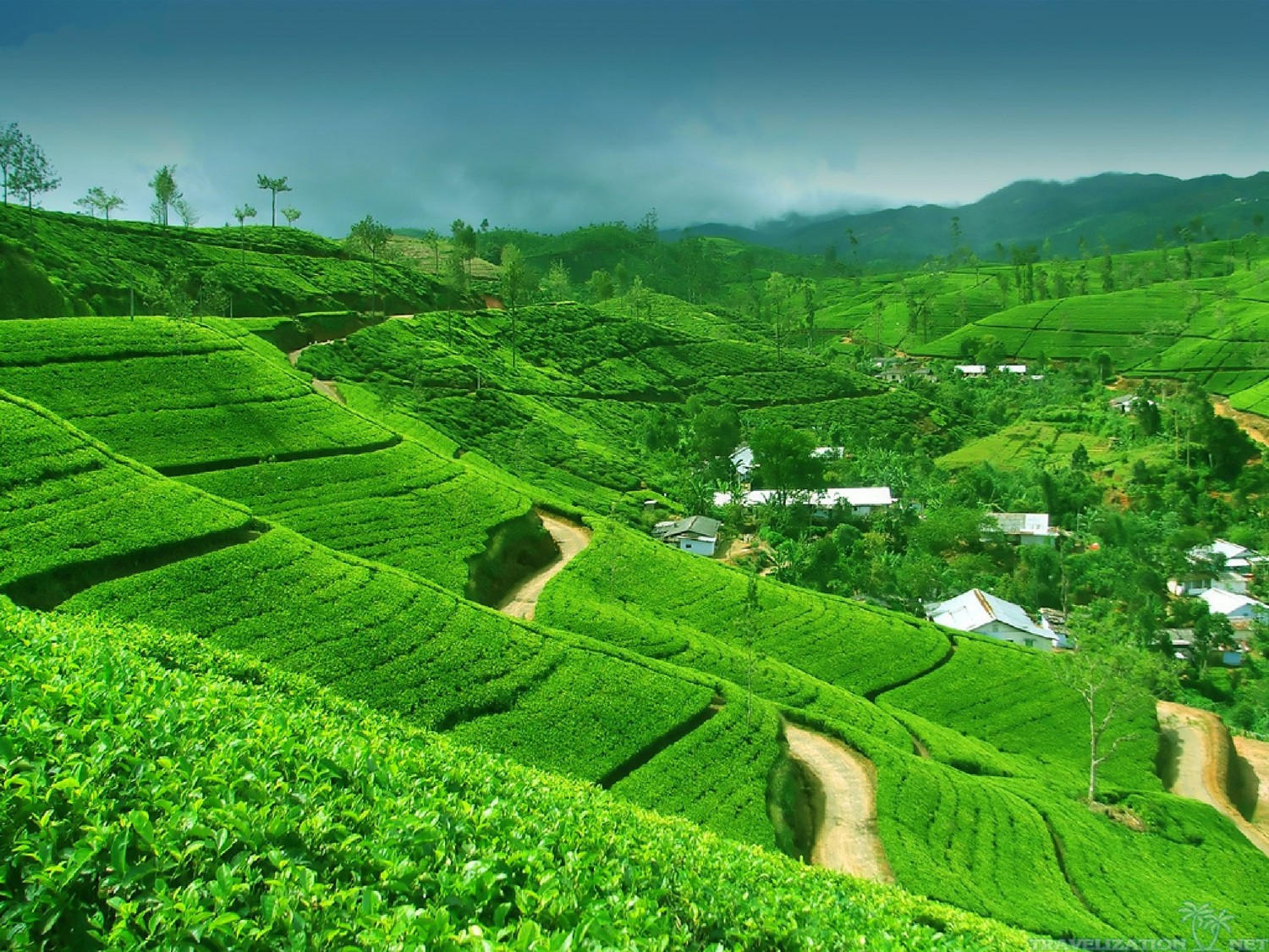 Paysage Époustouflant des Hauts Plateaux du Sri Lanka : Une Évasion Sereine