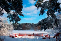 Fondo de Maravilloso País Invernales