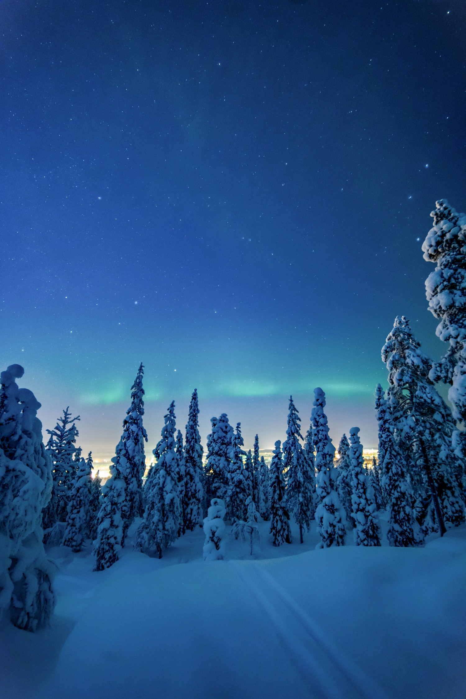 Download Our Beautiful Winter Night Wallpaper