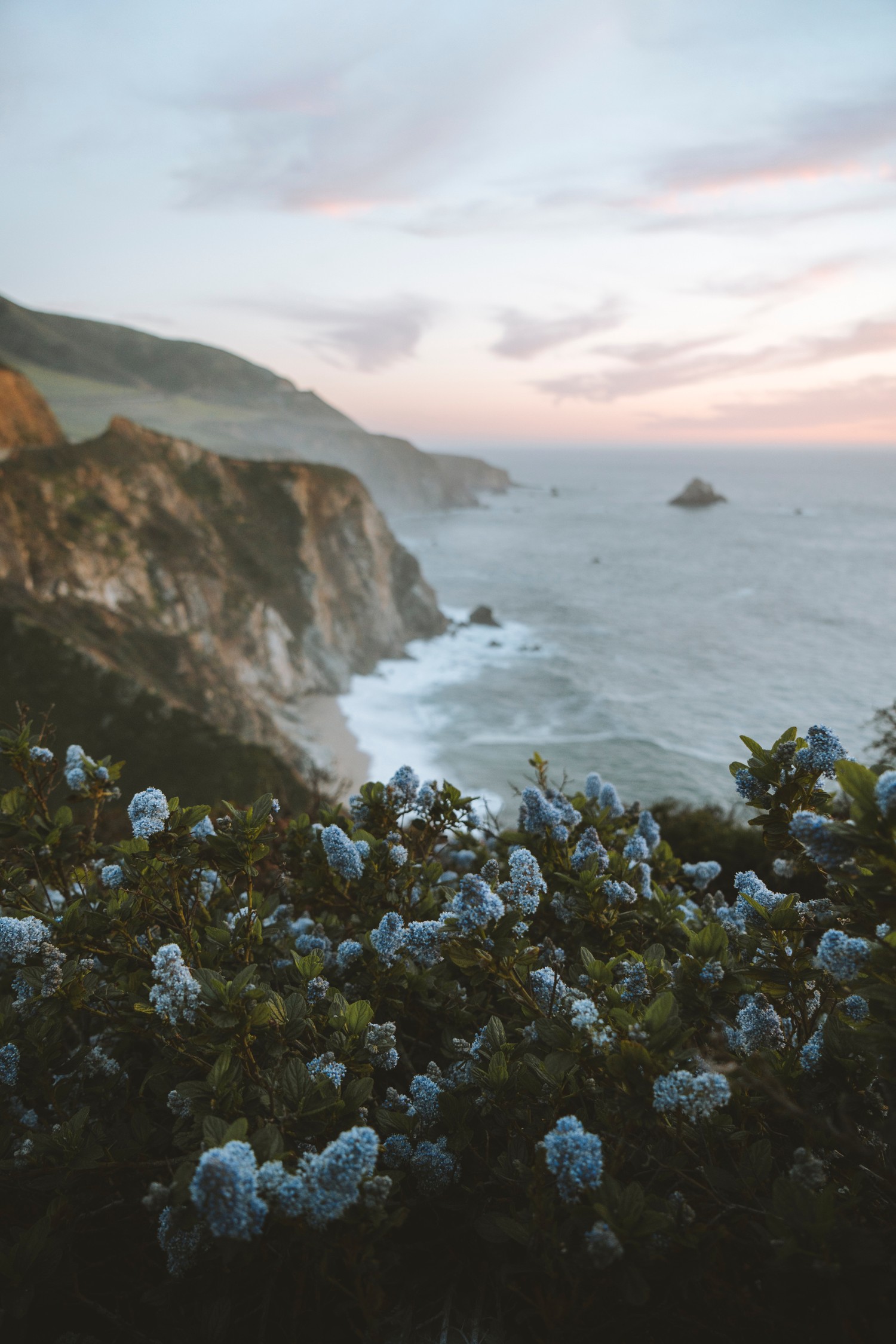 Explora la Impresionante Costa de Big Sur