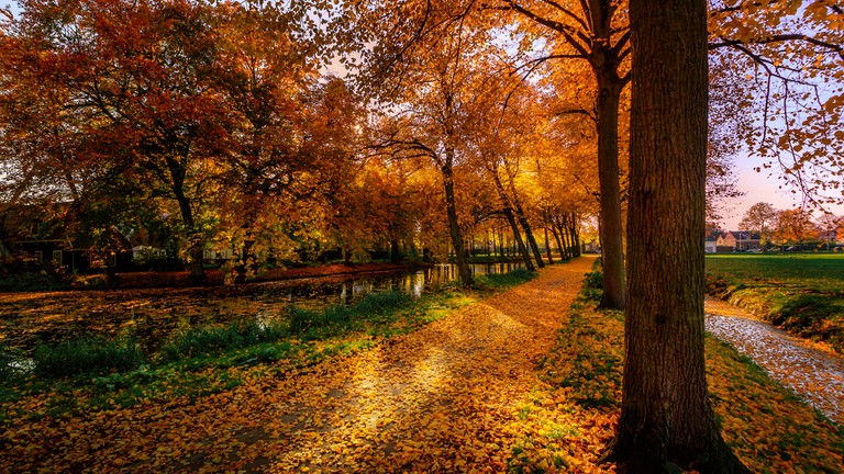 Explore the Beauty of Autumn in the Netherlands