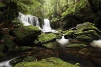 Explora la Belleza de las Cascadas en la Naturaleza