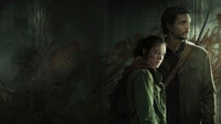 Fond d'Écran de The Last of Us pour les Fans de la Série HBO Max