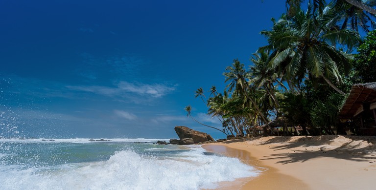 Découvrez la beauté des plages tropicales