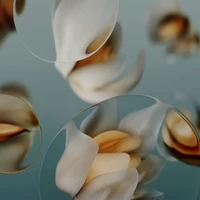 Download Beautiful Porcelain Macro Wallpaper in 5K & 4K