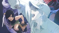 Fond d'Écran Hataraku Saibou avec des Personnages Anime Dynamiques