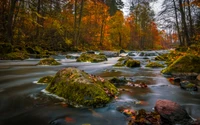 Download Serene Autumn Stream Wallpaper