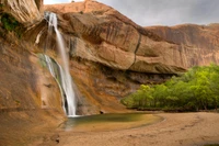 Cascada Asombrosa en un Parque Nacional Sereno