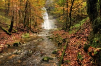 Stunning Autumn Waterfall in a Nature Reserve