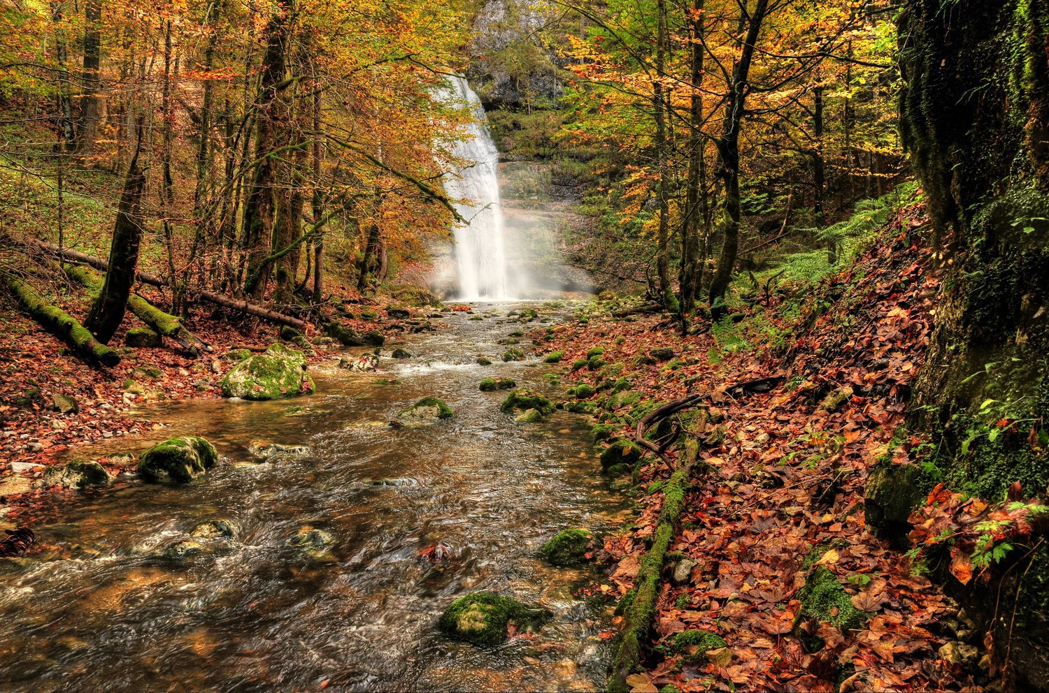 Stunning Autumn Waterfall in a Nature Reserve