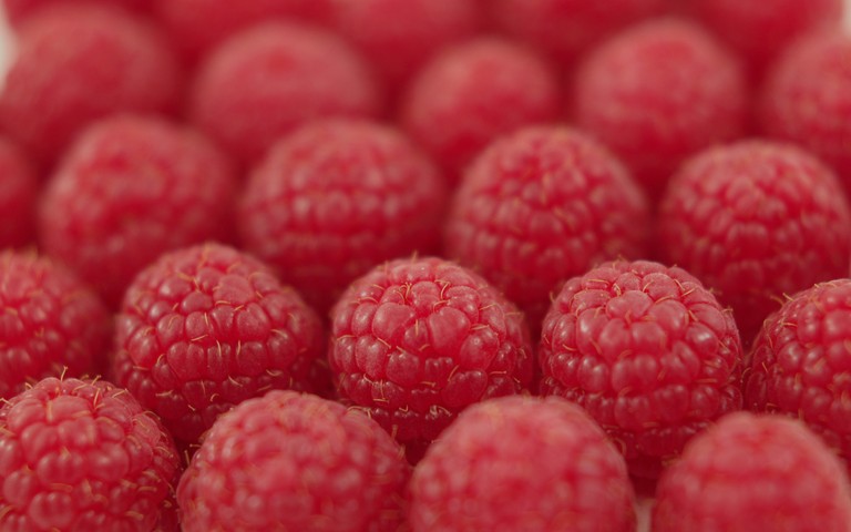 Vibrant Raspberry Wallpaper for Your Device