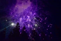 Mesmerizing Midnight Fireworks Wallpaper