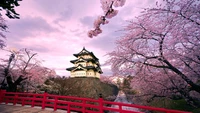 Hermoso Castillo de Osaka Rodeado de Cerezos en Flor